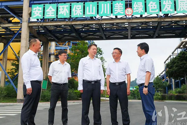 杨林兴：把新型工业化摆在更加突出的位置，让“四化同步”发展的主引擎作用更加凸显